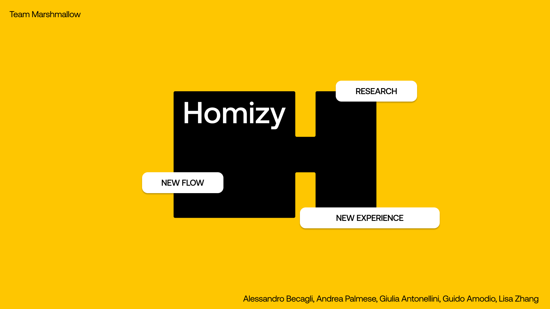 Homizy